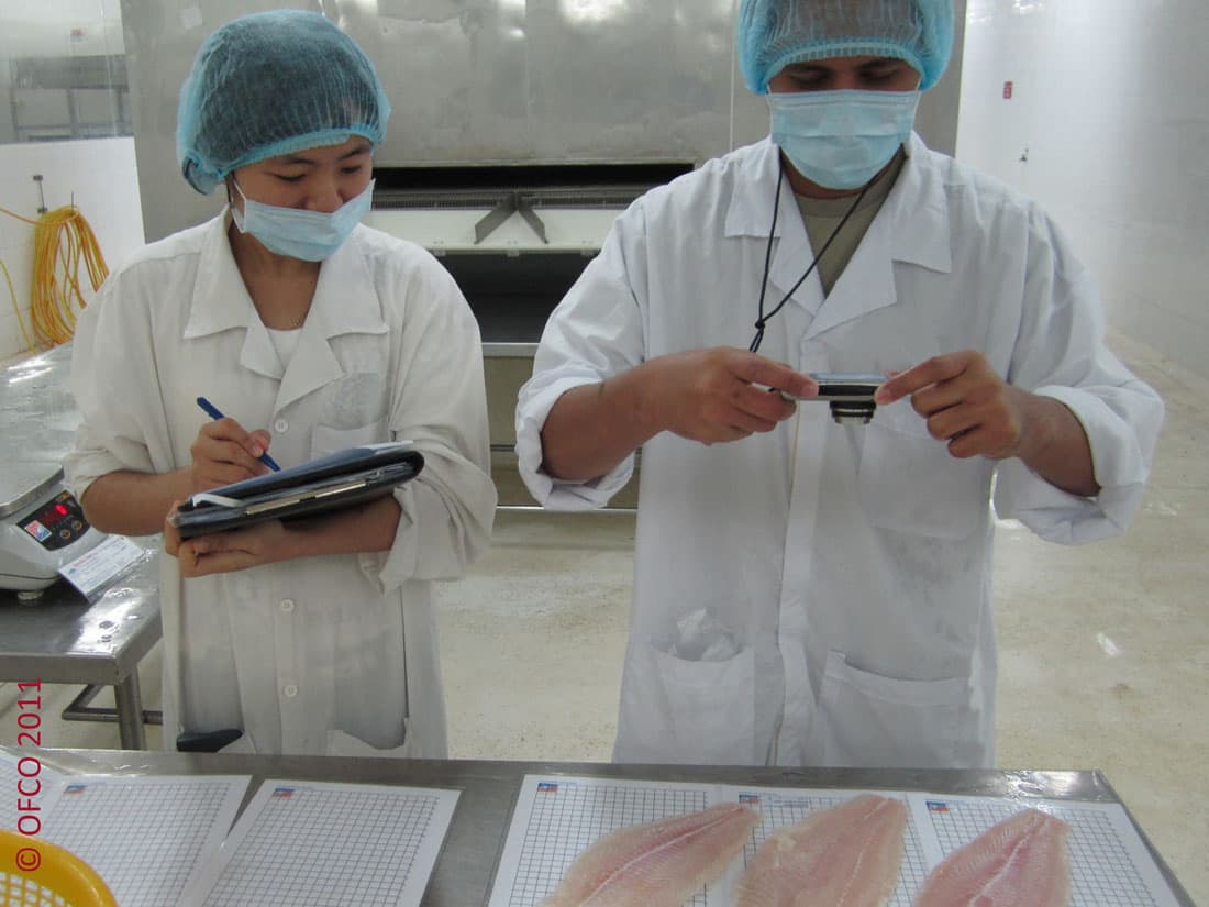 Fish - Seafood Specialist - OFCO Inspection - Sourcing